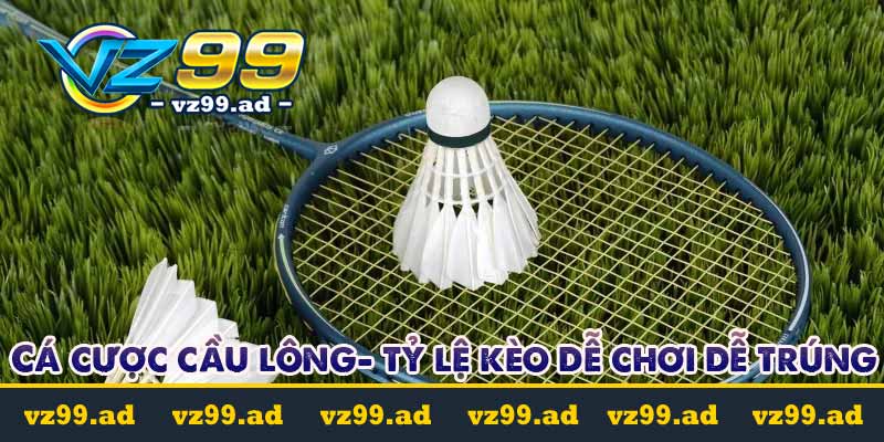 Cá cược cầu lông là gì? Tỷ lệ kèo cược dễ chơi dễ trúng Cá cược cầu lông là gì? Tỷ lệ kèo cược dễ chơi dễ trúng