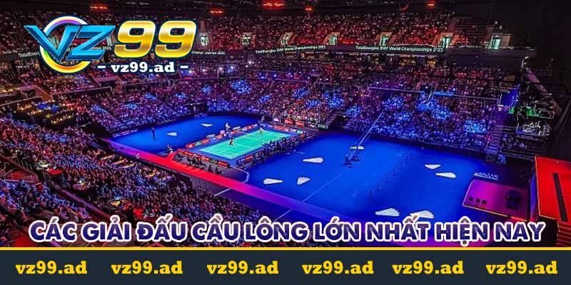 Cá cược cầu lông là gì? Tỷ lệ kèo cược dễ chơi dễ trúng Cá cược cầu lông là gì? Tỷ lệ kèo cược dễ chơi dễ trúng