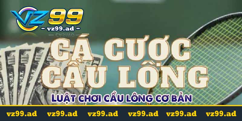 Cá cược cầu lông là gì? Tỷ lệ kèo cược dễ chơi dễ trúng Cá cược cầu lông là gì? Tỷ lệ kèo cược dễ chơi dễ trúng