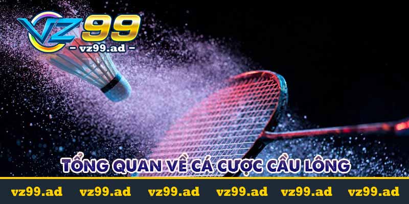 Cá cược cầu lông là gì? Tỷ lệ kèo cược dễ chơi dễ trúng Cá cược cầu lông là gì? Tỷ lệ kèo cược dễ chơi dễ trúng