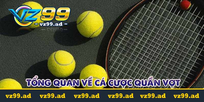 Cá cược quần vợt là gì? Các loại kèo cá cược phổ biến nhất Cá cược quần vợt là gì? Các loại kèo cá cược phổ biến nhất