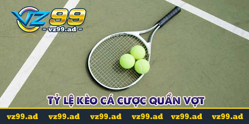 Cá cược quần vợt là gì? Các loại kèo cá cược phổ biến nhất Cá cược quần vợt là gì? Các loại kèo cá cược phổ biến nhất