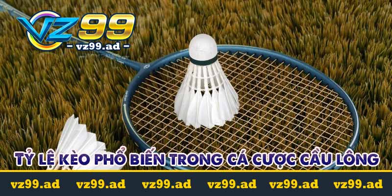 Cá cược cầu lông là gì? Tỷ lệ kèo cược dễ chơi dễ trúng Cá cược cầu lông là gì? Tỷ lệ kèo cược dễ chơi dễ trúng