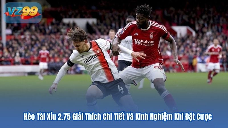 Thể Thao Vz99 Thể Thao Vz99