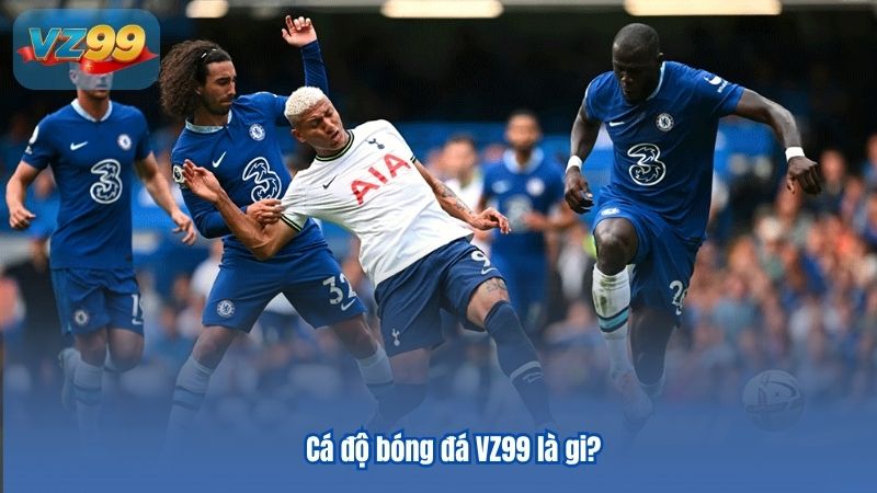 Những thuật ngữ cá độ bóng đá cho game thủ tổng hợp Những thuật ngữ cá độ bóng đá cho game thủ tổng hợp