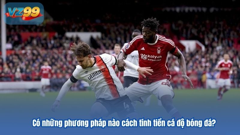 Cập nhật mới nhất cách tính tiền cá độ bóng đá Cập nhật mới nhất cách tính tiền cá độ bóng đá