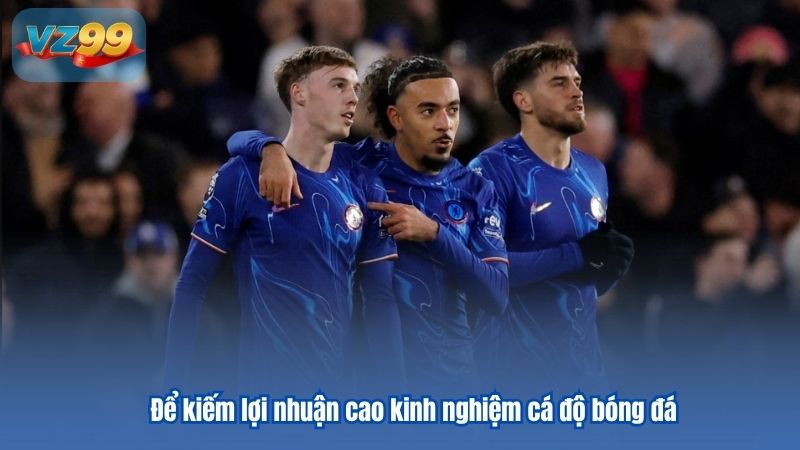 Cập nhật mới nhất cách tính tiền cá độ bóng đá Cập nhật mới nhất cách tính tiền cá độ bóng đá