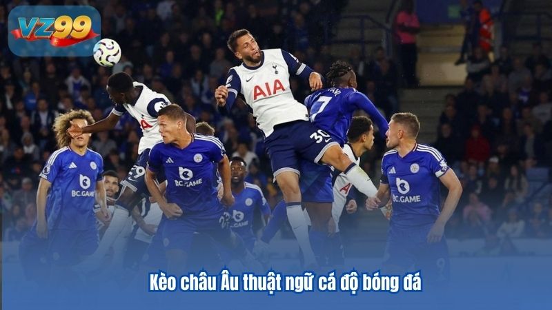 Những thuật ngữ cá độ bóng đá cho game thủ tổng hợp Những thuật ngữ cá độ bóng đá cho game thủ tổng hợp