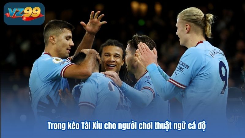 Những thuật ngữ cá độ bóng đá cho game thủ tổng hợp Những thuật ngữ cá độ bóng đá cho game thủ tổng hợp